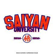 anime-manga-japanese-t-shirts-clothing-apparel-streetwear-Saiyan University • Sweatshirt-mochiclothing